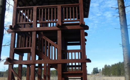 44_Barstytaliu bokstas. D.Abrutes n.jpg